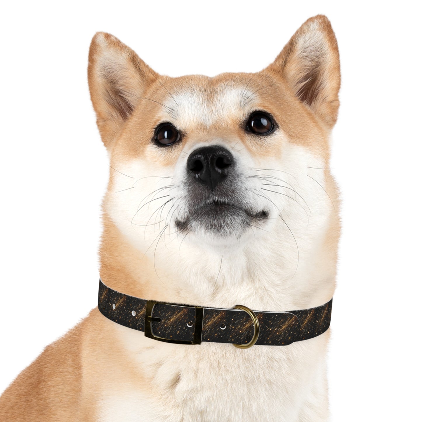 Barrky Night Collection Collarman/Collarette β Starry Dog Collar, Waterproof, Odor-Resistant TPU, 4 Buckles, Stars Dog Collar, Adjustable Pet Accessory for Cosmic Dog Lovers