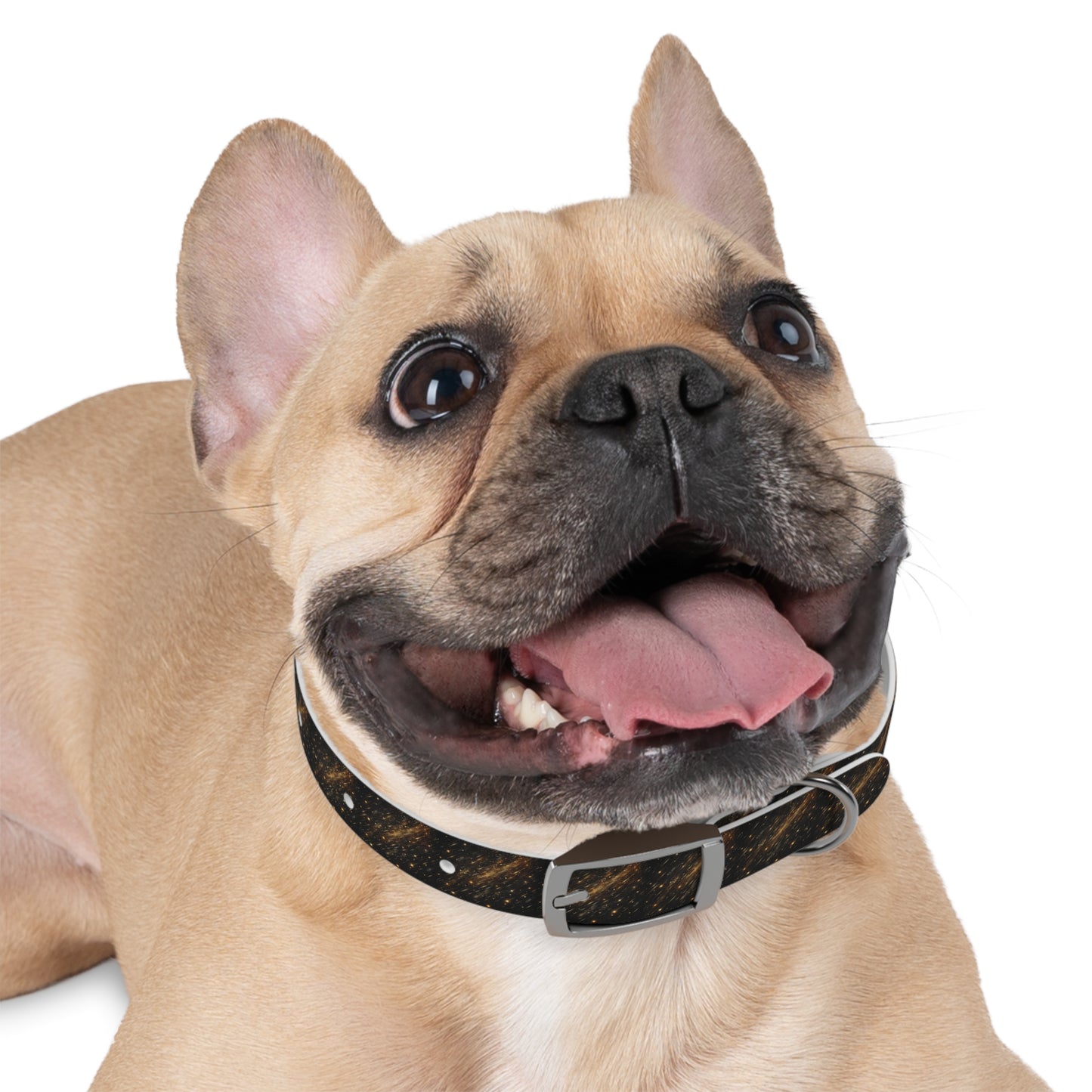 Barrky Night Collection Collarman/Collarette β Starry Dog Collar, Waterproof, Odor-Resistant TPU, 4 Buckles, Stars Dog Collar, Adjustable Pet Accessory for Cosmic Dog Lovers