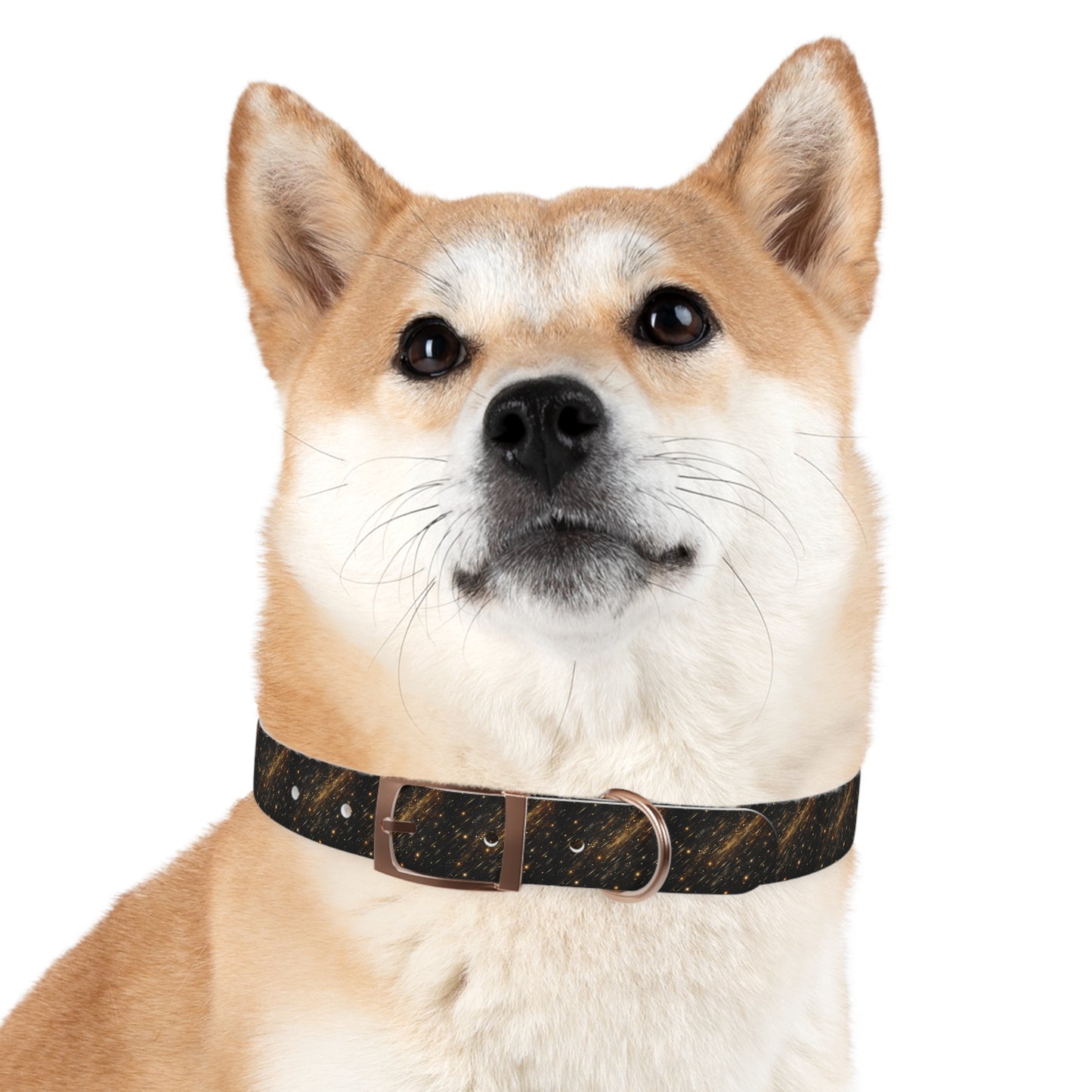 Barrky Night Collection Collarman/Collarette β Starry Dog Collar, Waterproof, Odor-Resistant TPU, 4 Buckles, Stars Dog Collar, Adjustable Pet Accessory for Cosmic Dog Lovers